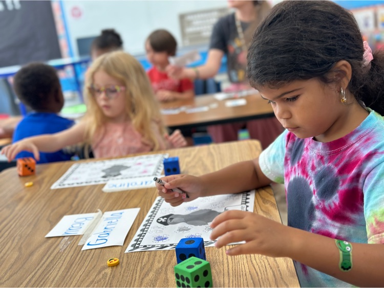 Live Feed Buies Creek Elementary School